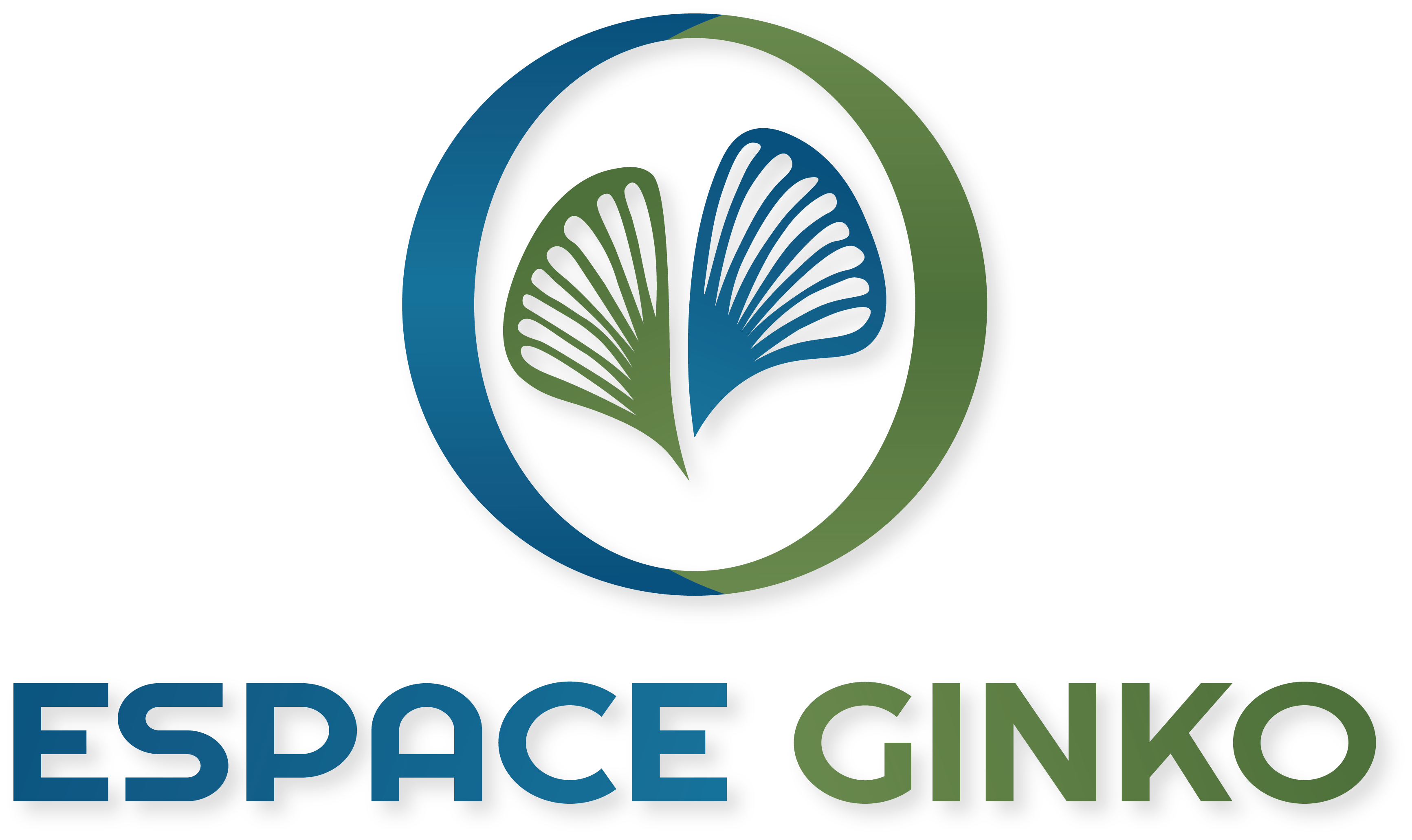 Logo espace Ginko | Espace sport et bien-être à Monflanquin